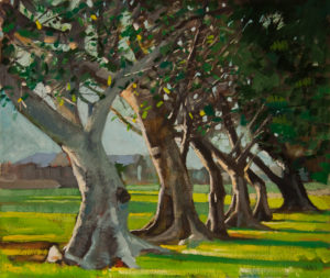 Ken Wadrop #84. Leaning Trees-Wilson-Park-dawn